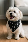 Rock Horns Dog Bandana - Metal Music Lover Pet Scarf