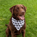 Drum Kit Dog Bandana, Musician Pet Scarf