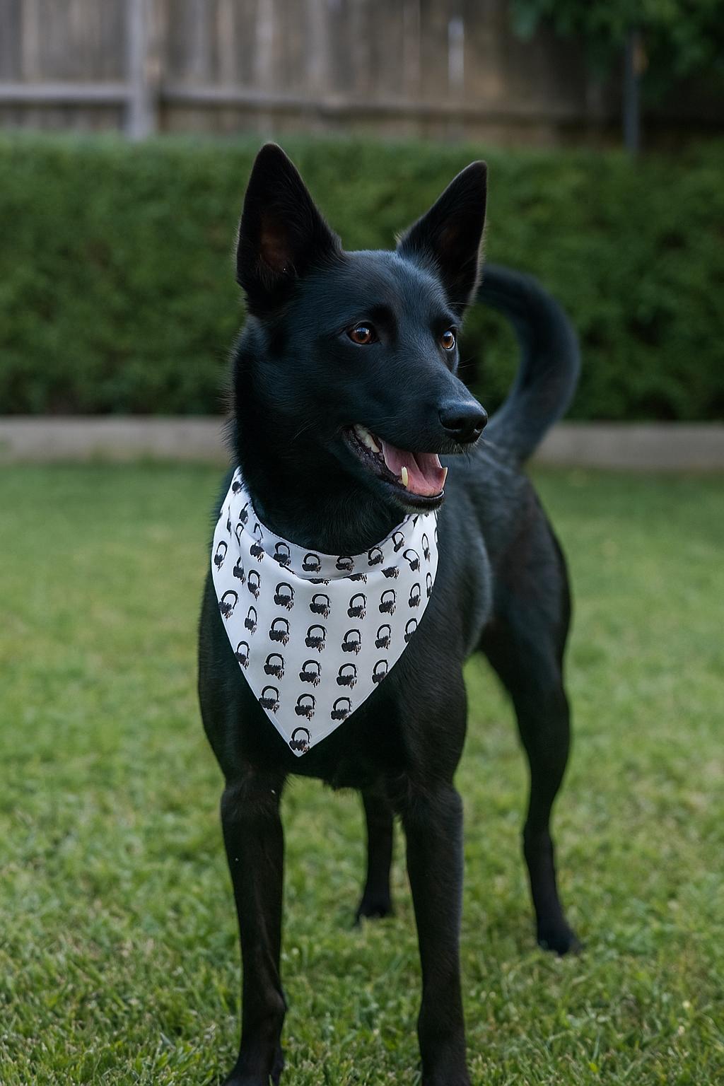 Headphones Dog Bandana, Music Lover Pet Scarf