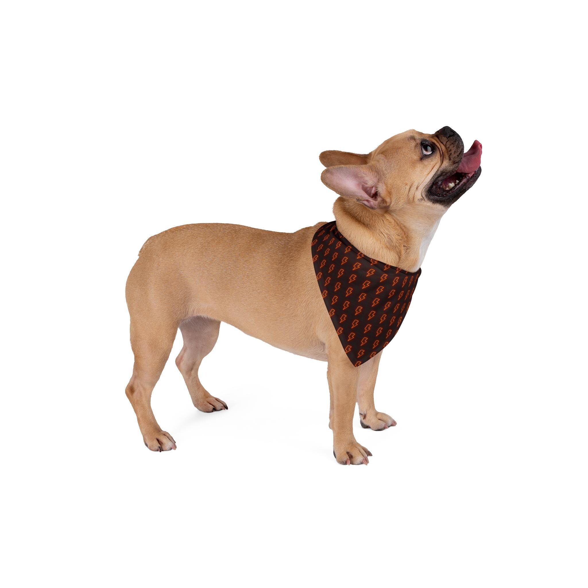 Black Dog Bandana with Orange Lightning Bolts, Pet Scarf