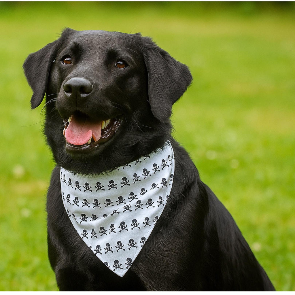 Skull Dog Bandana, Pirate Pet Scarf, Puppy Bandana, Over the Collar