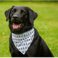 Skull Dog Bandana, Pirate Pet Scarf, Puppy Bandana, Over the Collar