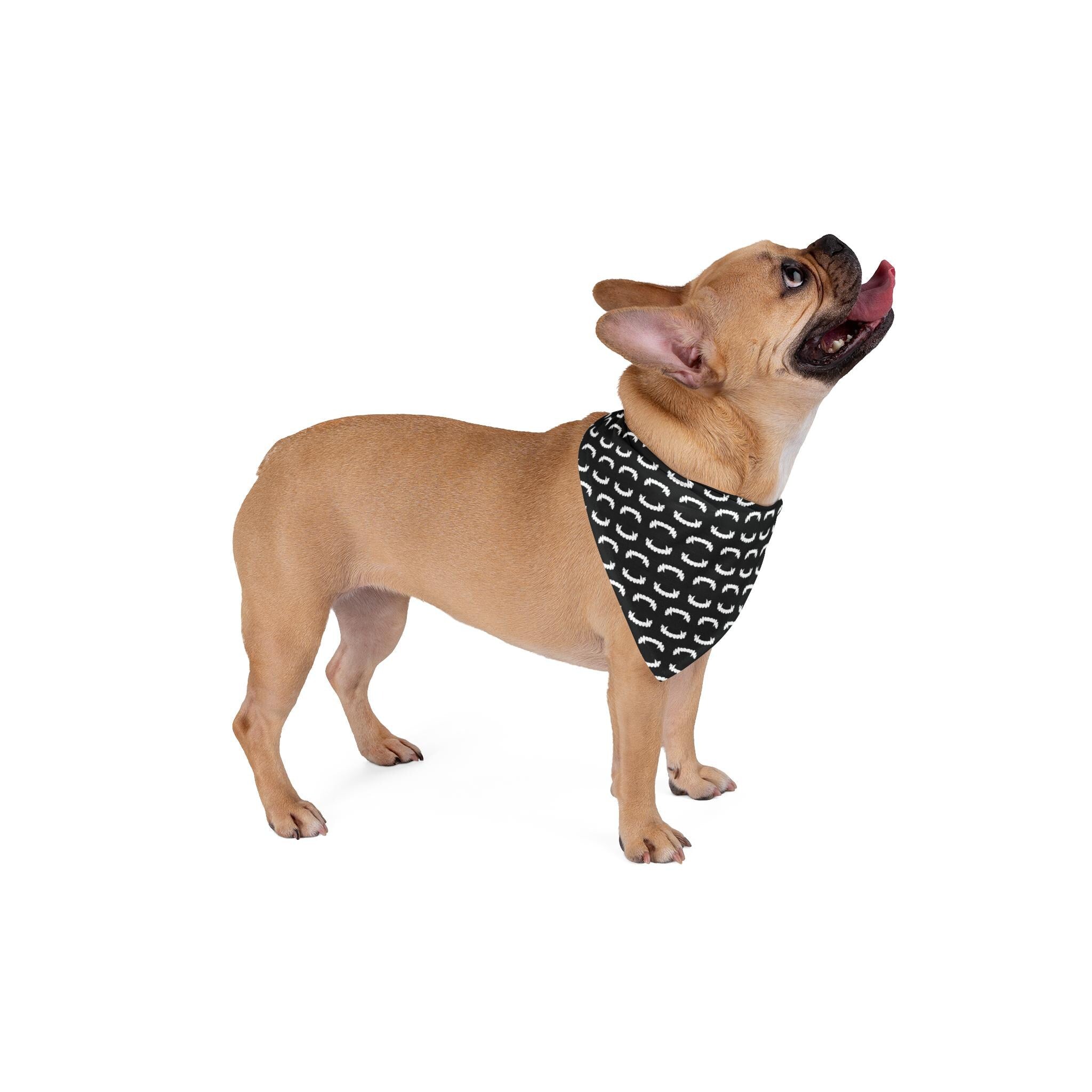 Vampire Teeth Pattern Pet Bandana | Halloween Dog Bandana