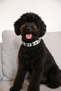 Ace of Spades Dog Collar
