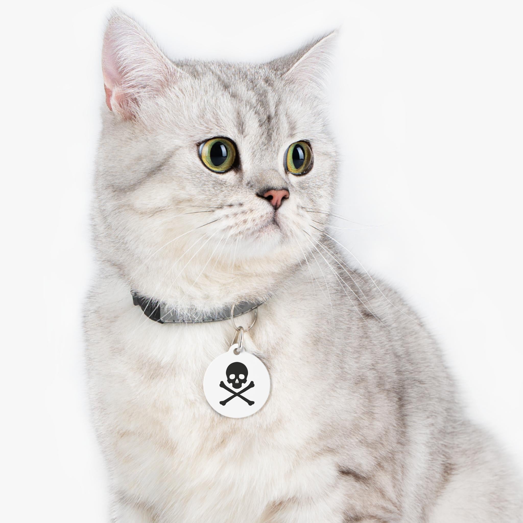 Skull & Crossbones Pet Tag | Round Double-Sided Rock ID Charm