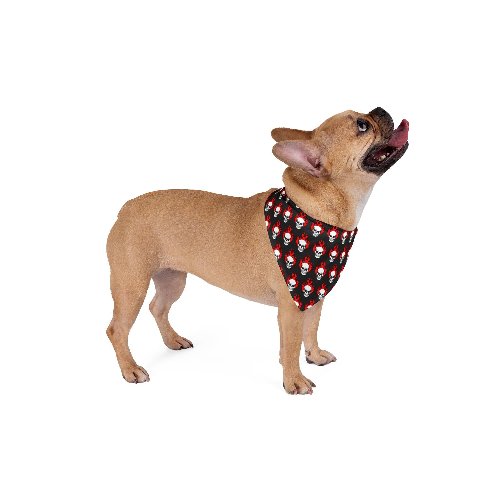 Skull Flames Pet Bandana | Halloween Dog Cat Accessory, Polyester Print