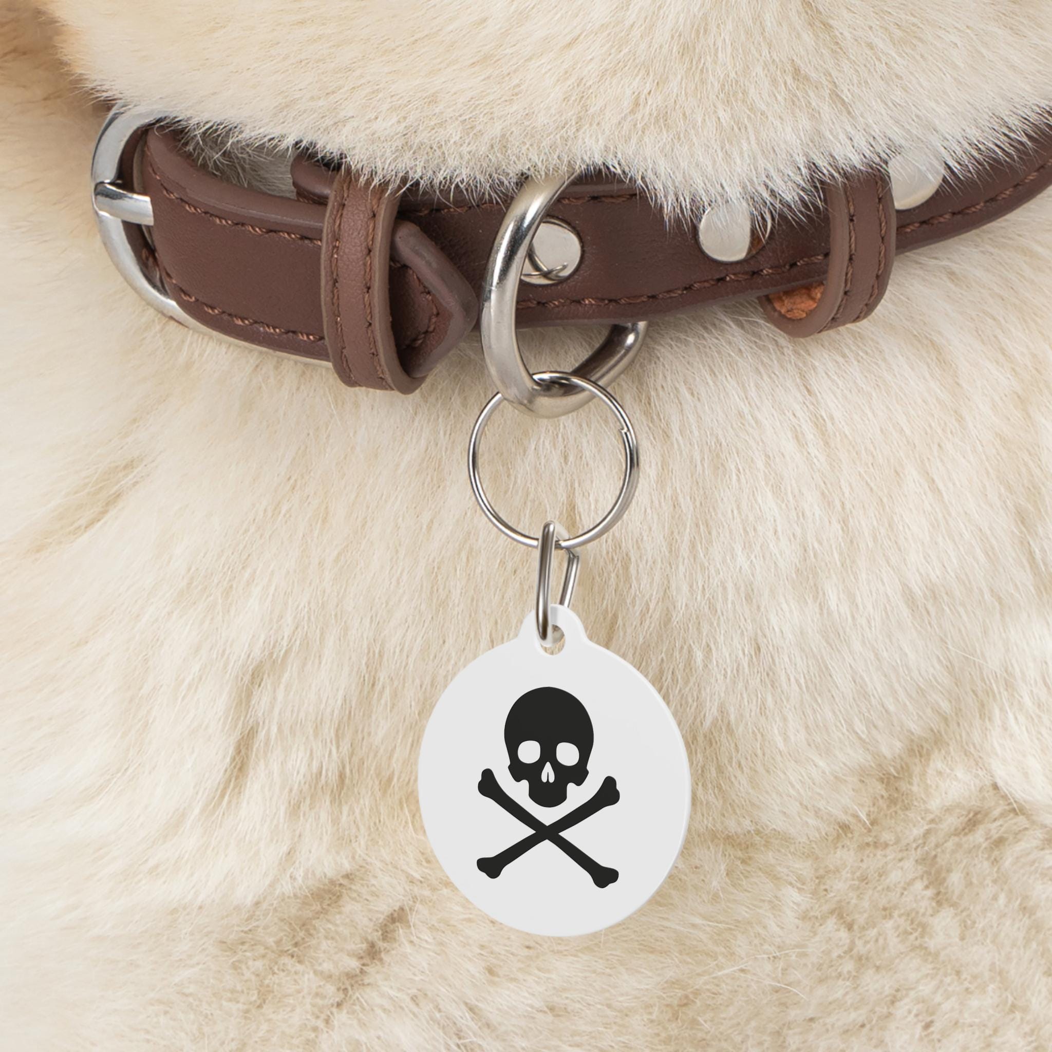 Skull & Crossbones Pet Tag | Round Double-Sided Rock ID Charm