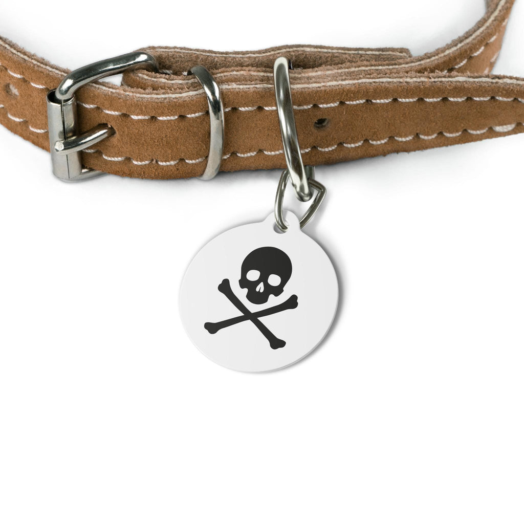 Skull & Crossbones Pet Tag | Round Double-Sided Rock ID Charm