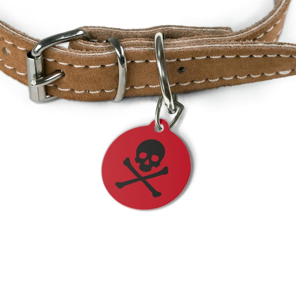 Skull & Crossbones Pet Tag | Round Double-Sided Rock ID Charm