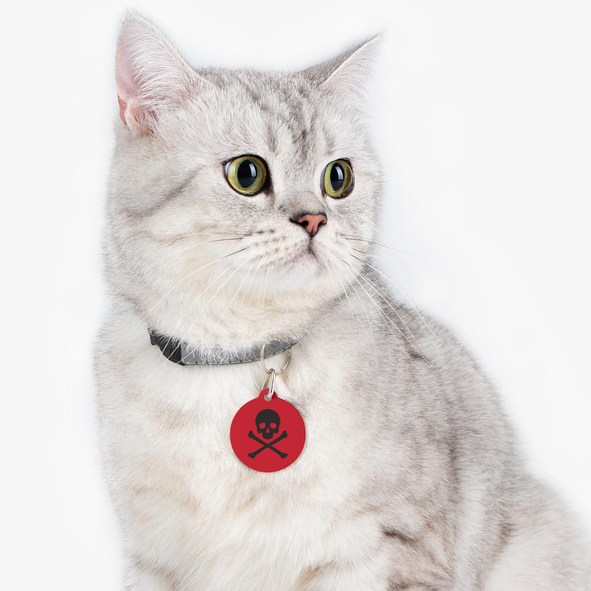 Skull & Crossbones Pet Tag | Round Double-Sided Rock ID Charm