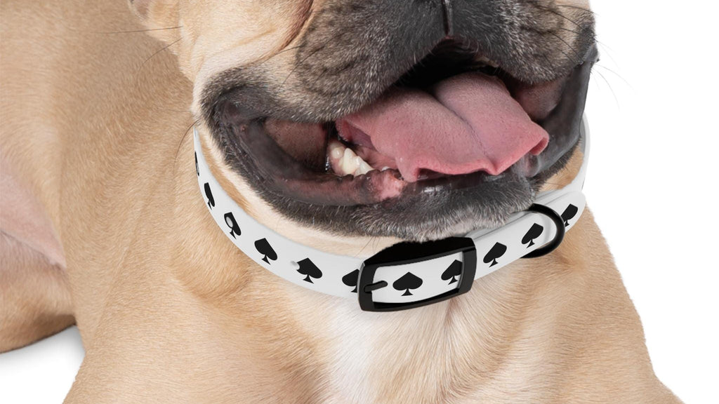 Ace of Spades Dog Collar