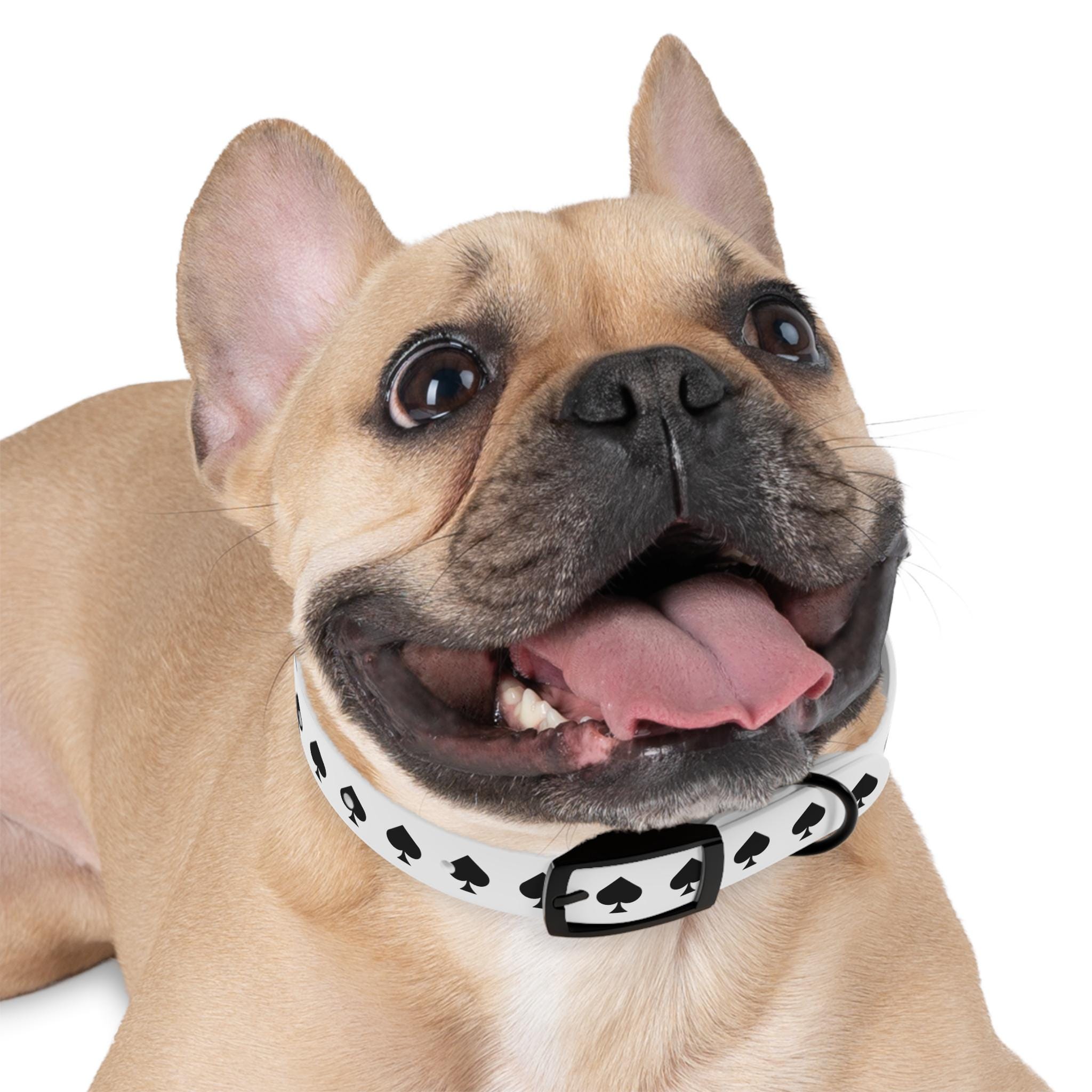 Ace of Spades Dog Collar