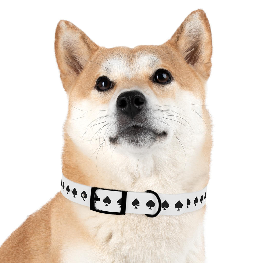Ace of Spades Dog Collar