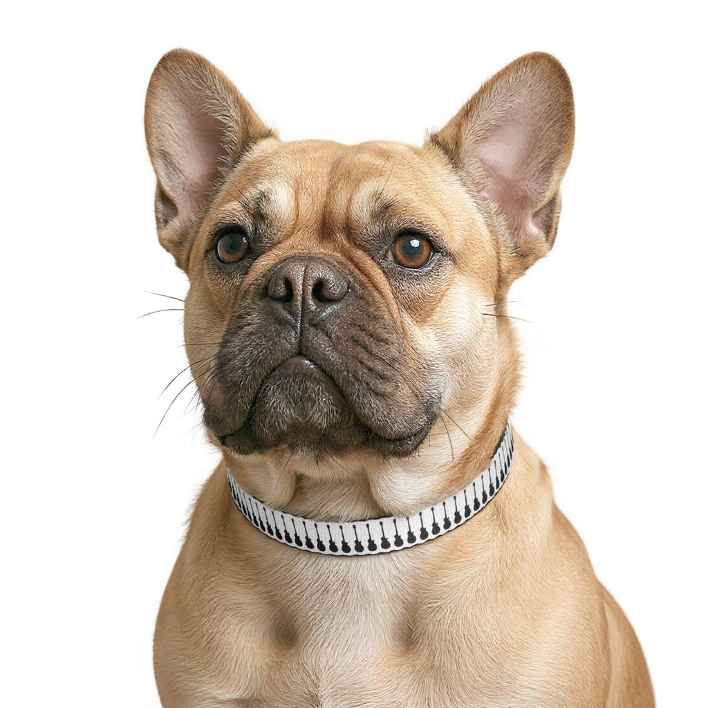 Guitar Pattern Clip-on Pet Collar | Music Themed Dog Collar