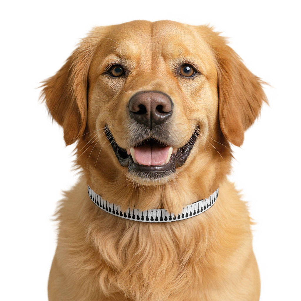 Guitar Pattern Clip-on Pet Collar | Music Themed Dog Collar