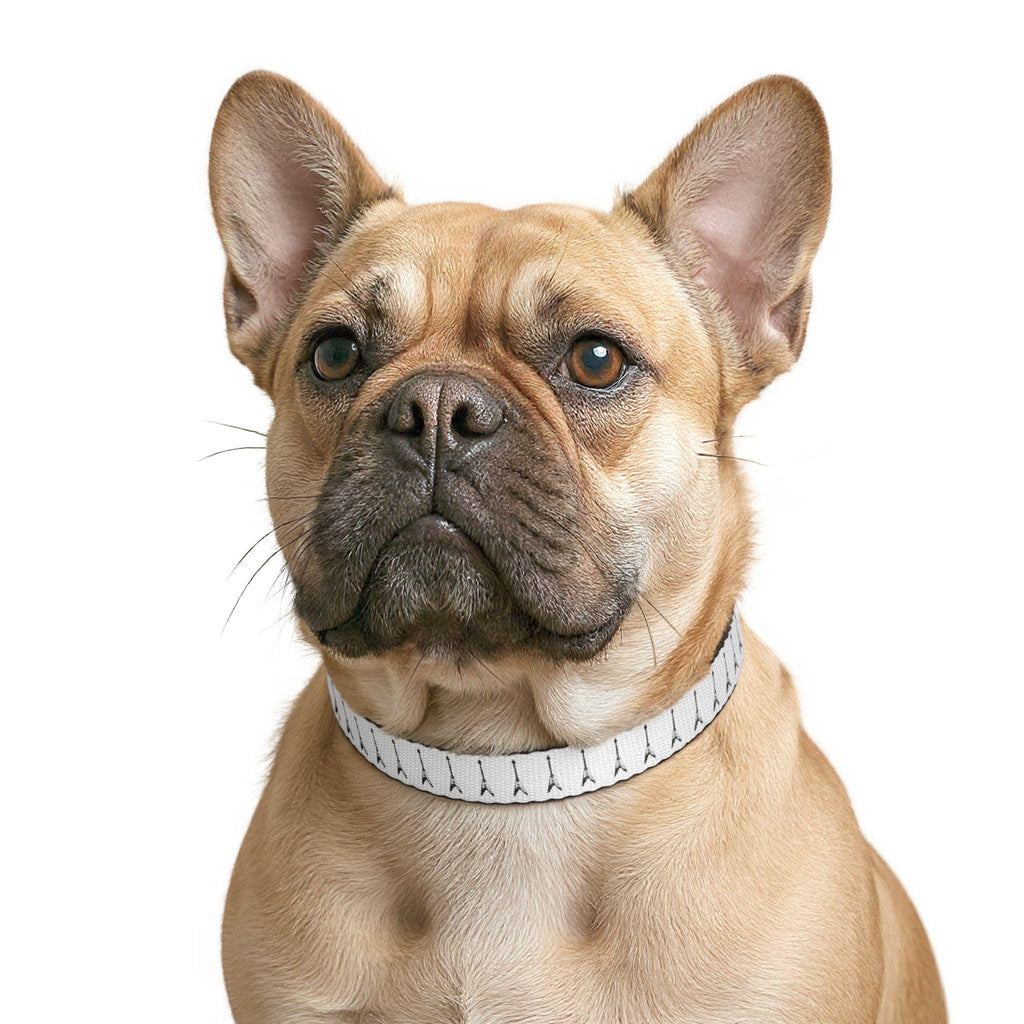 V Guitar Pattern Clip-on Pet Collar | Music Note Design, Adjustable