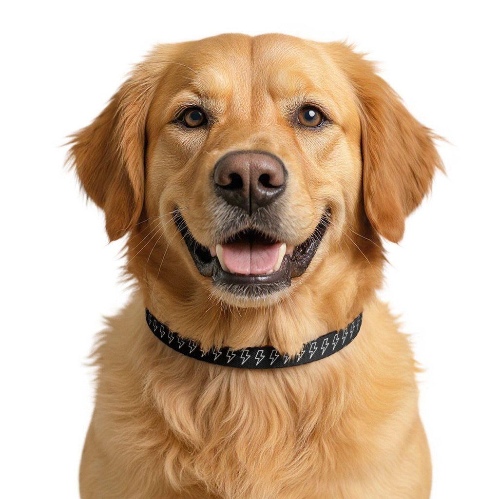 White Lightning Bolt Pattern Clip-on Pet Collar | Black Adjustable Dog Cat Collar