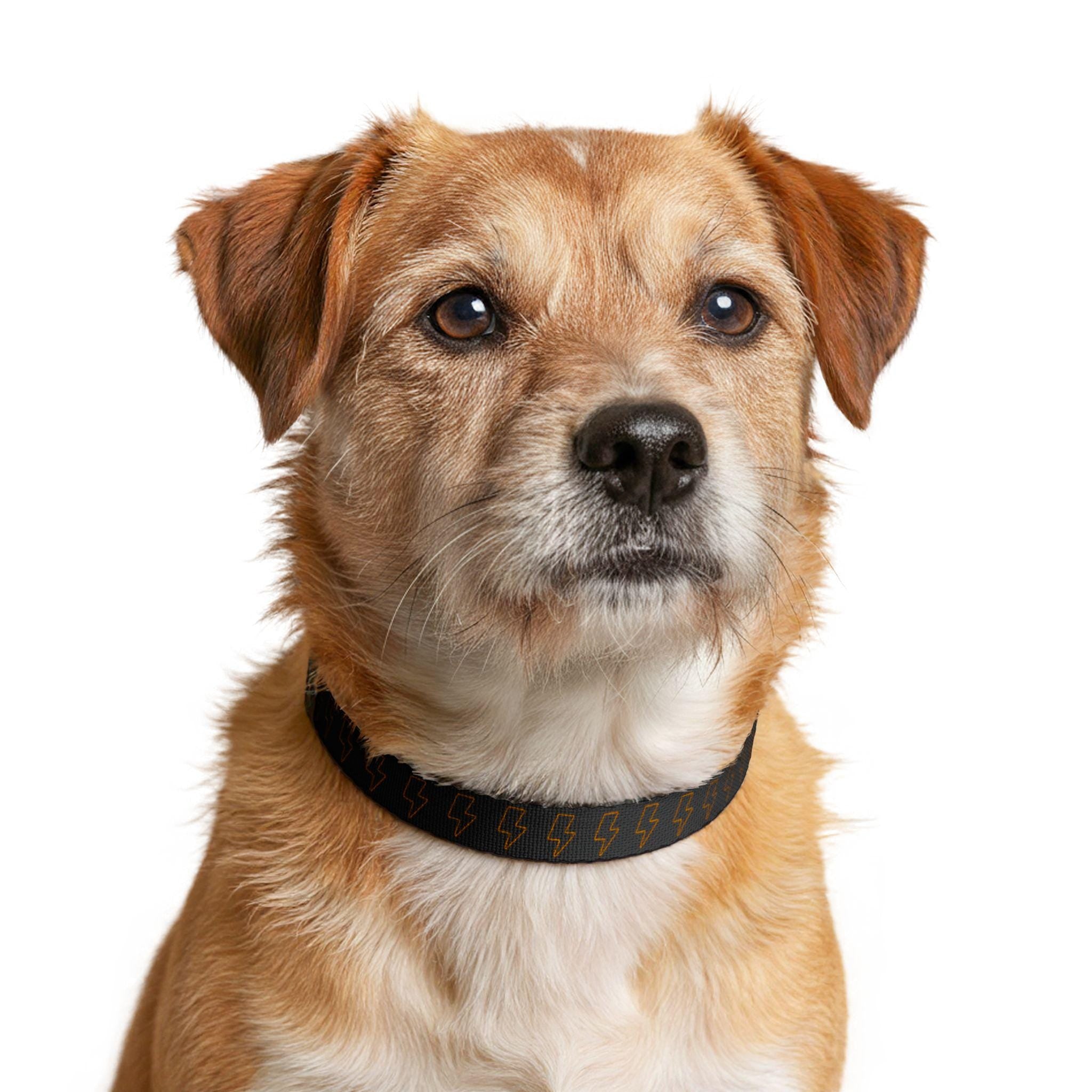 Neon Lightning Bolt Pattern Clip-on Pet Collar | Adjustable Dog Cat Collar