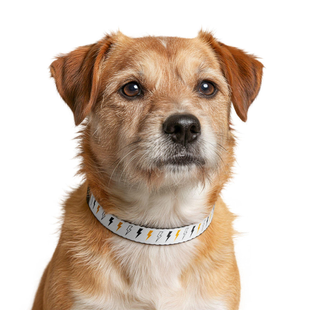 Coloured Lightning Bolt Pet Collar | Clip-on Adjustable Dog Collar
