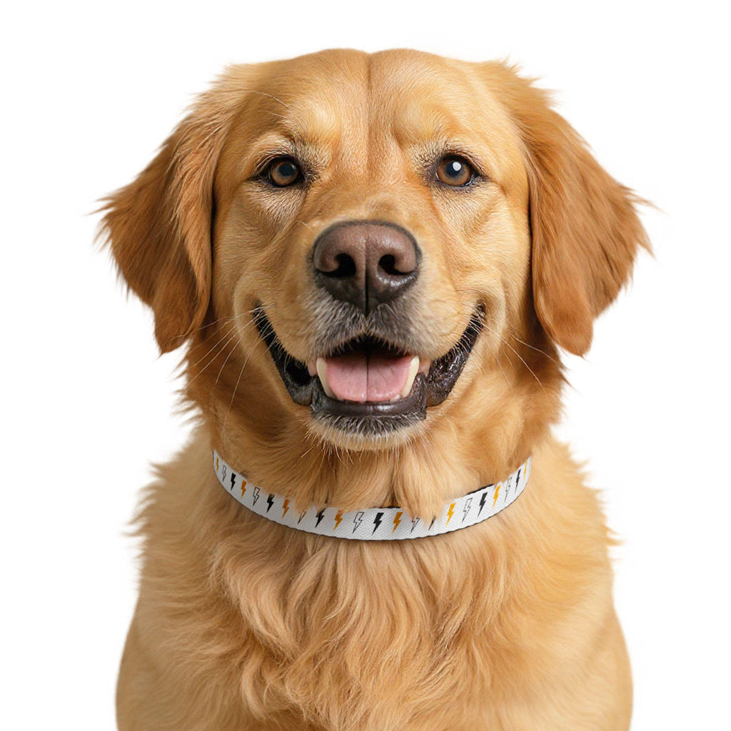 Coloured Lightning Bolt Pet Collar | Clip-on Adjustable Dog Collar