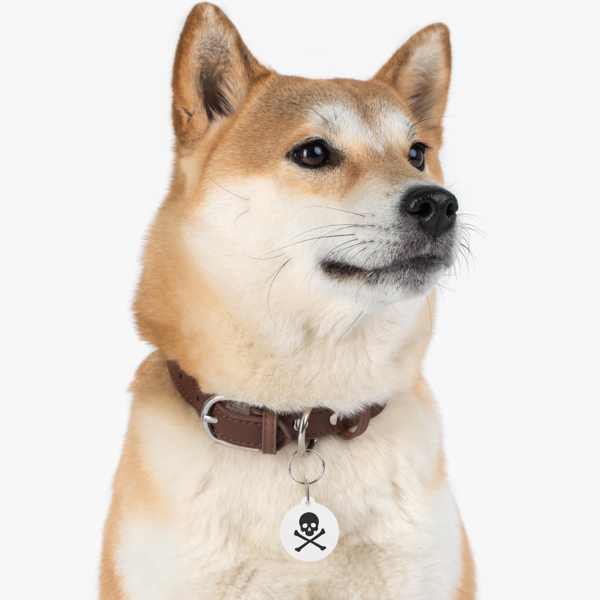Skull & Crossbones Pet Tag | Round Double-Sided Rock ID Charm