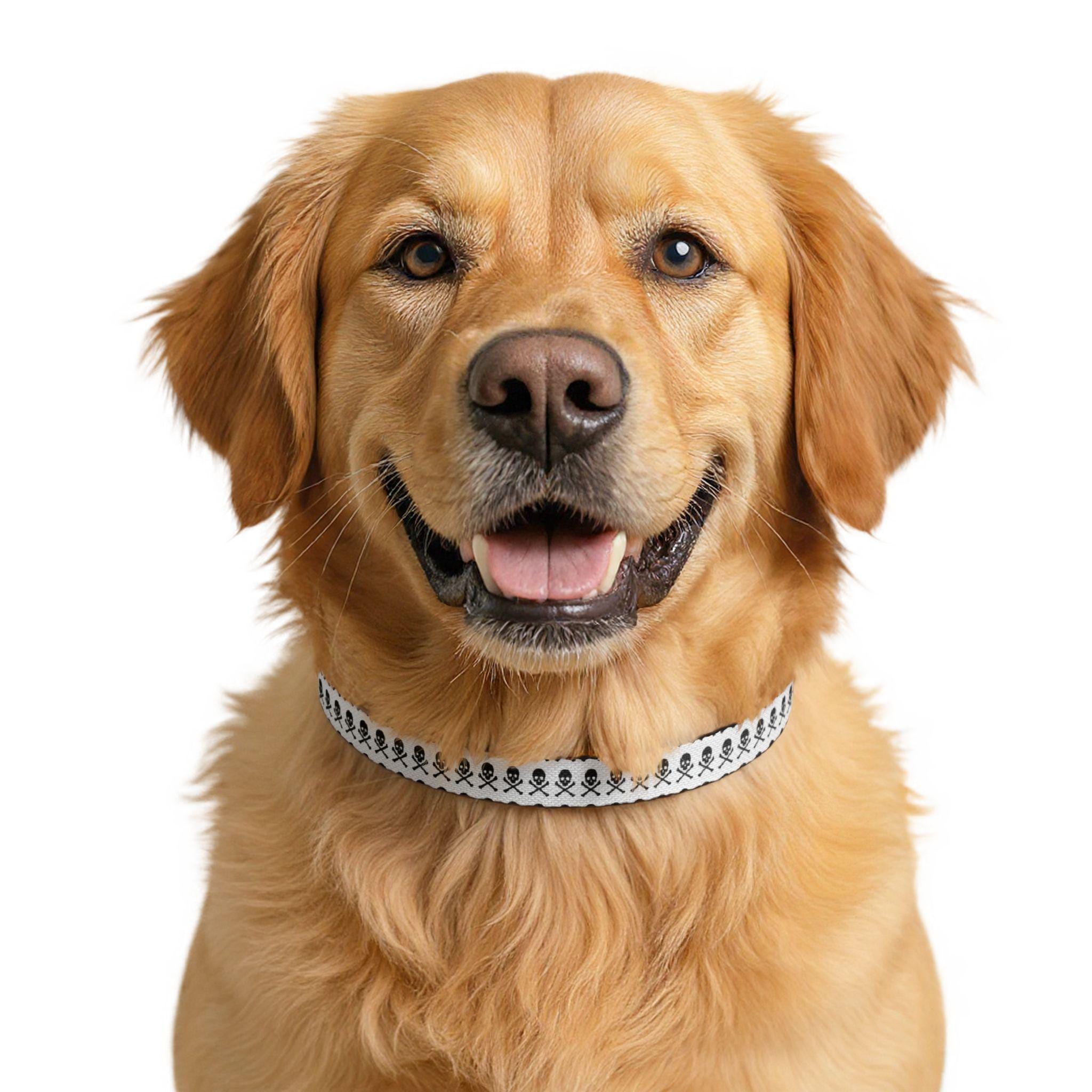 Skull and Crossbones Clip-on Pet Collar | Pirate Pattern Dog Cat Collar