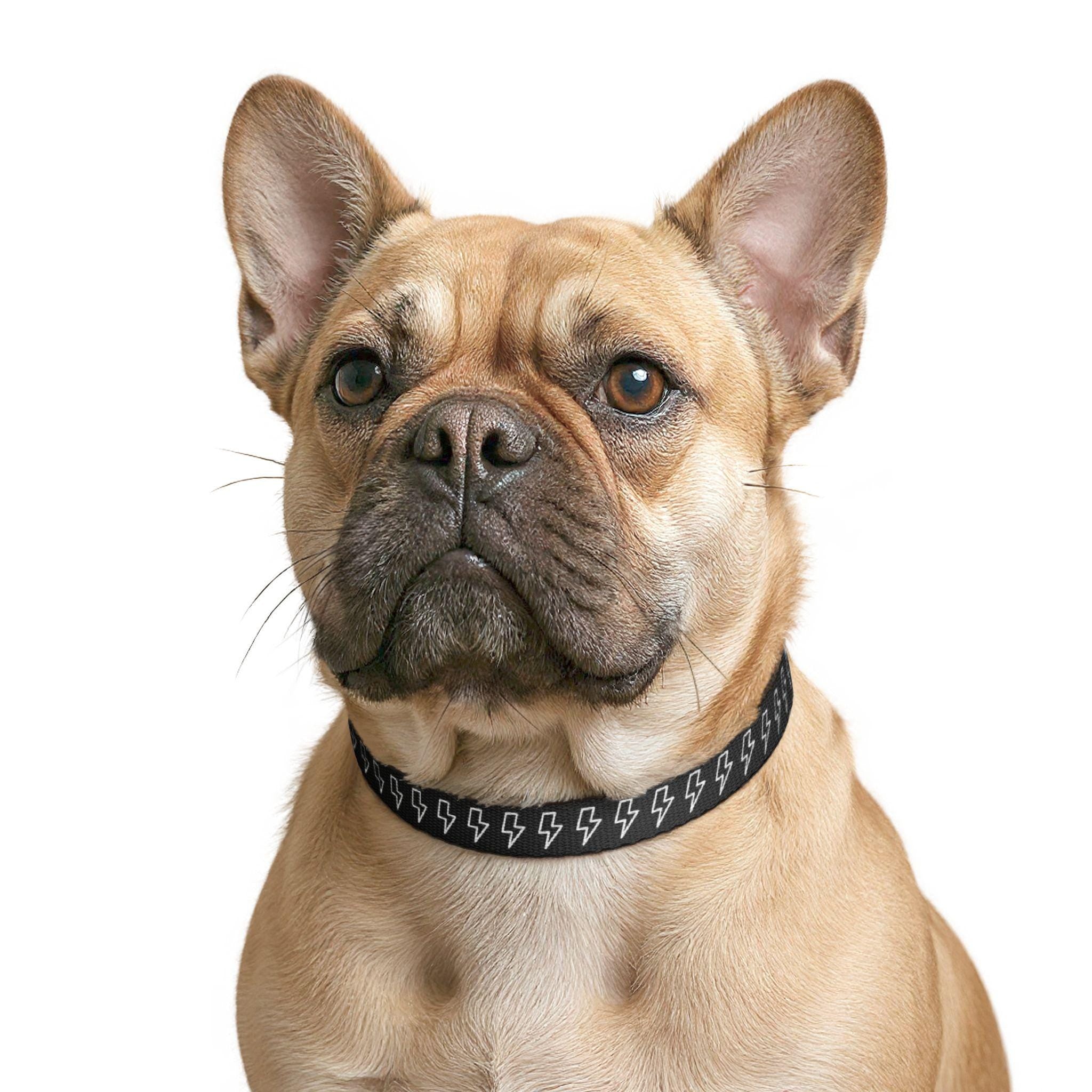White Lightning Bolt Pattern Clip-on Pet Collar | Black Adjustable Dog Cat Collar