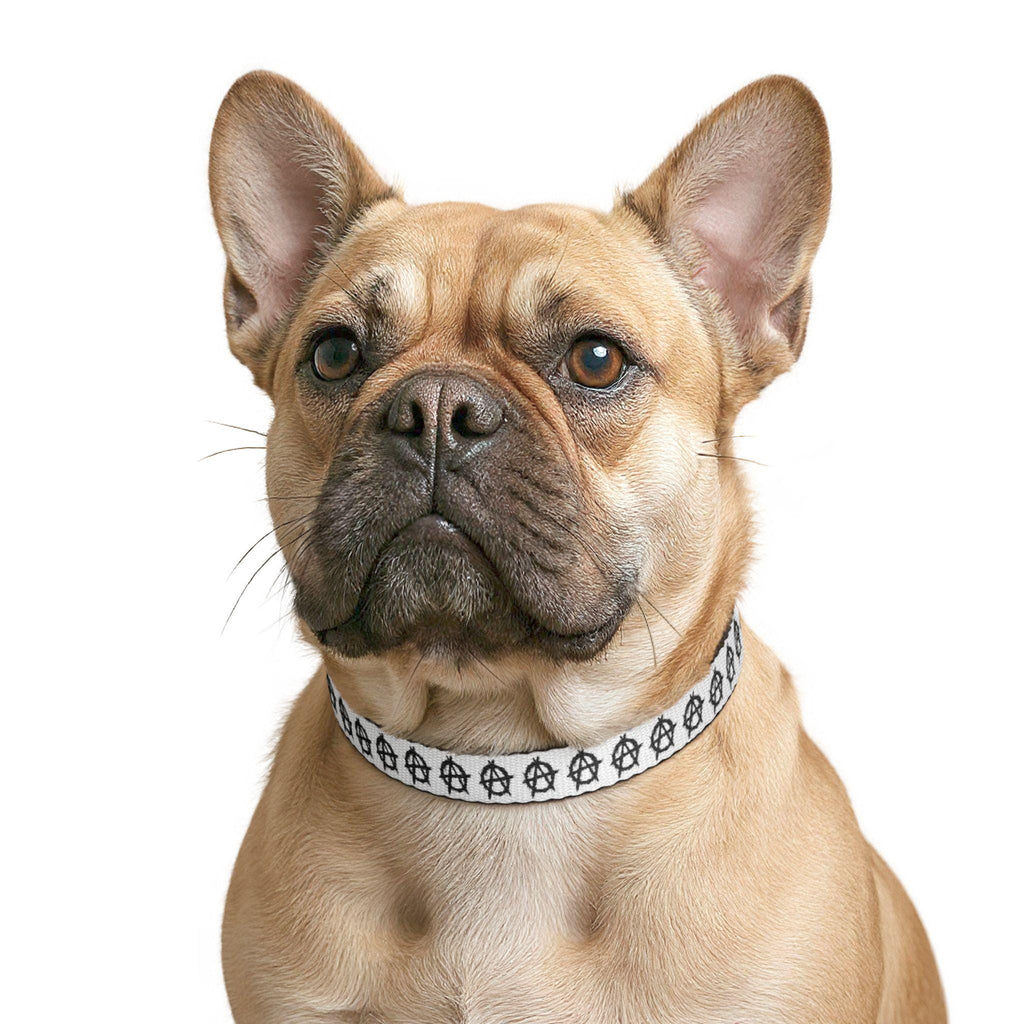 Anarchy Symbol Pet Collar | Clip-on Collar for Dogs