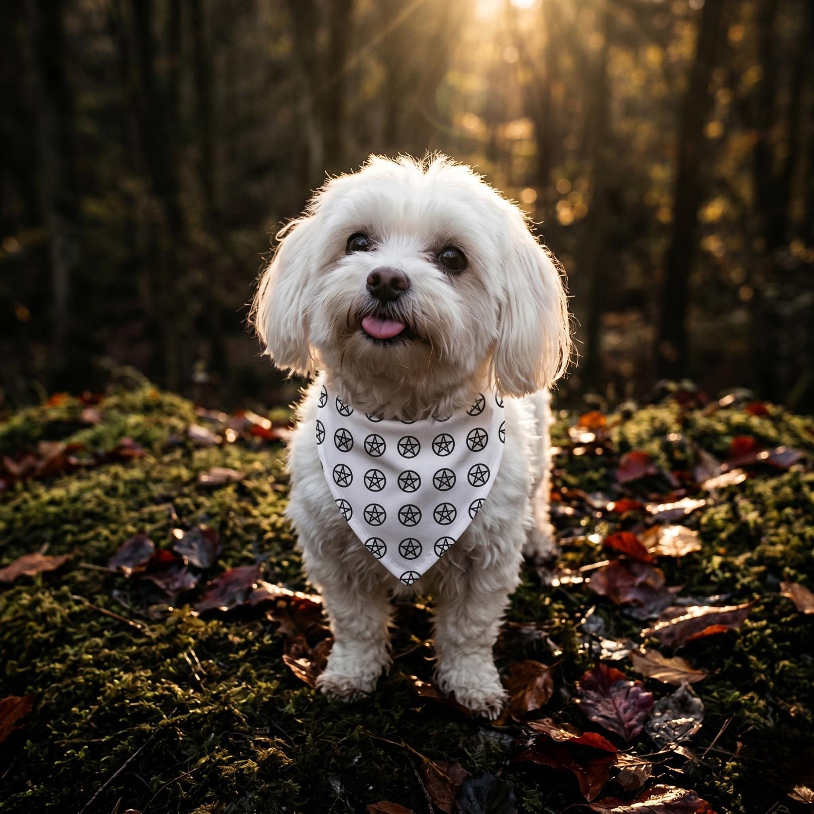 Black Pentagram Pattern Pet Bandana | Repeating Star Pentacle Print