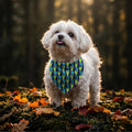 Rock Horns Dog Bandana, Dog Scarf, Puppy Neckerchief, Cat Neckwear, Animal Accessories, Colour Version