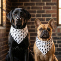 Black Lightning Bolt Pet Bandana | Modern Dog Cat Accessory, Polyester