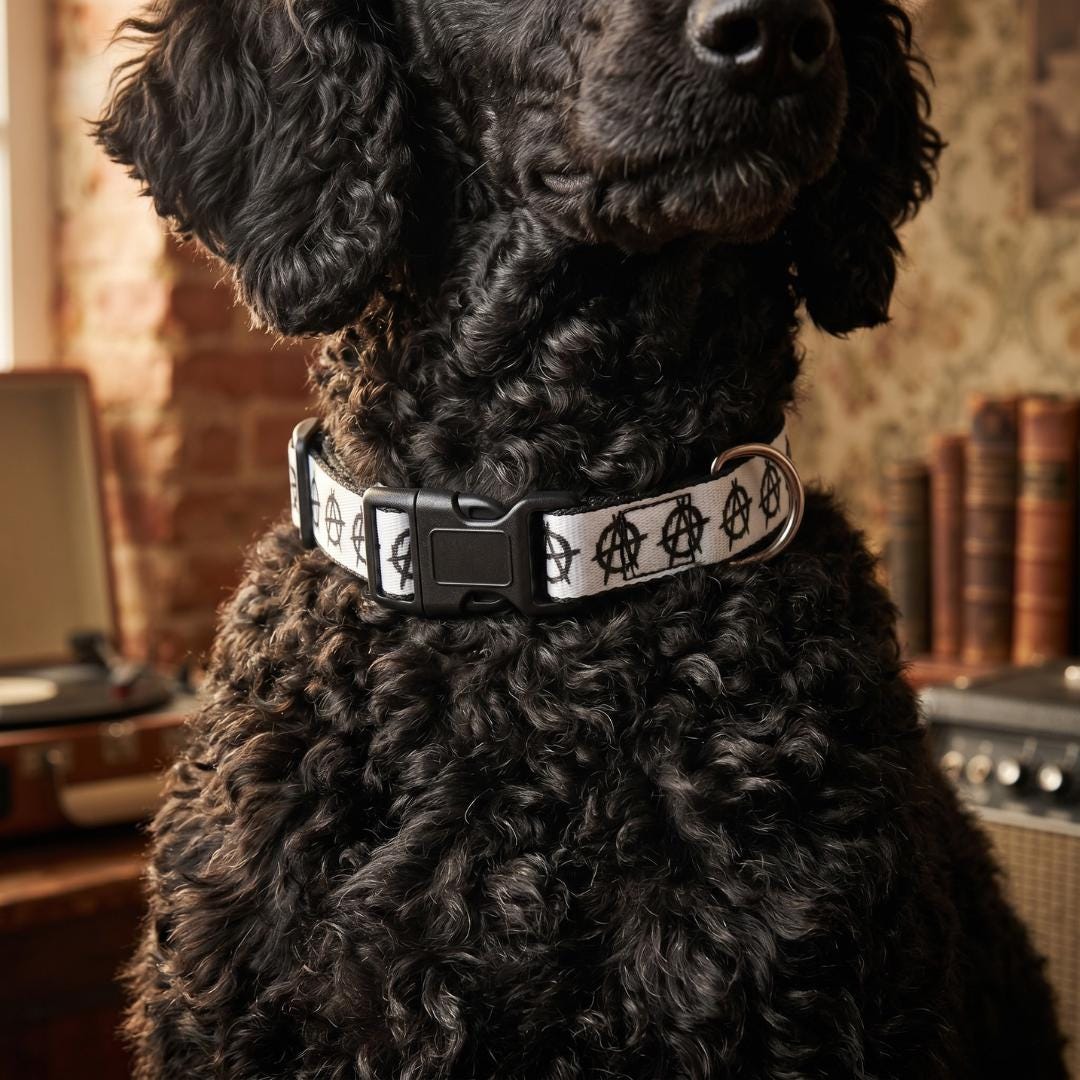 Anarchy Symbol Pet Collar | Clip-on Collar for Dogs