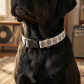 Pentagram Pattern Clip-on Collar | Pet Collar, Black White