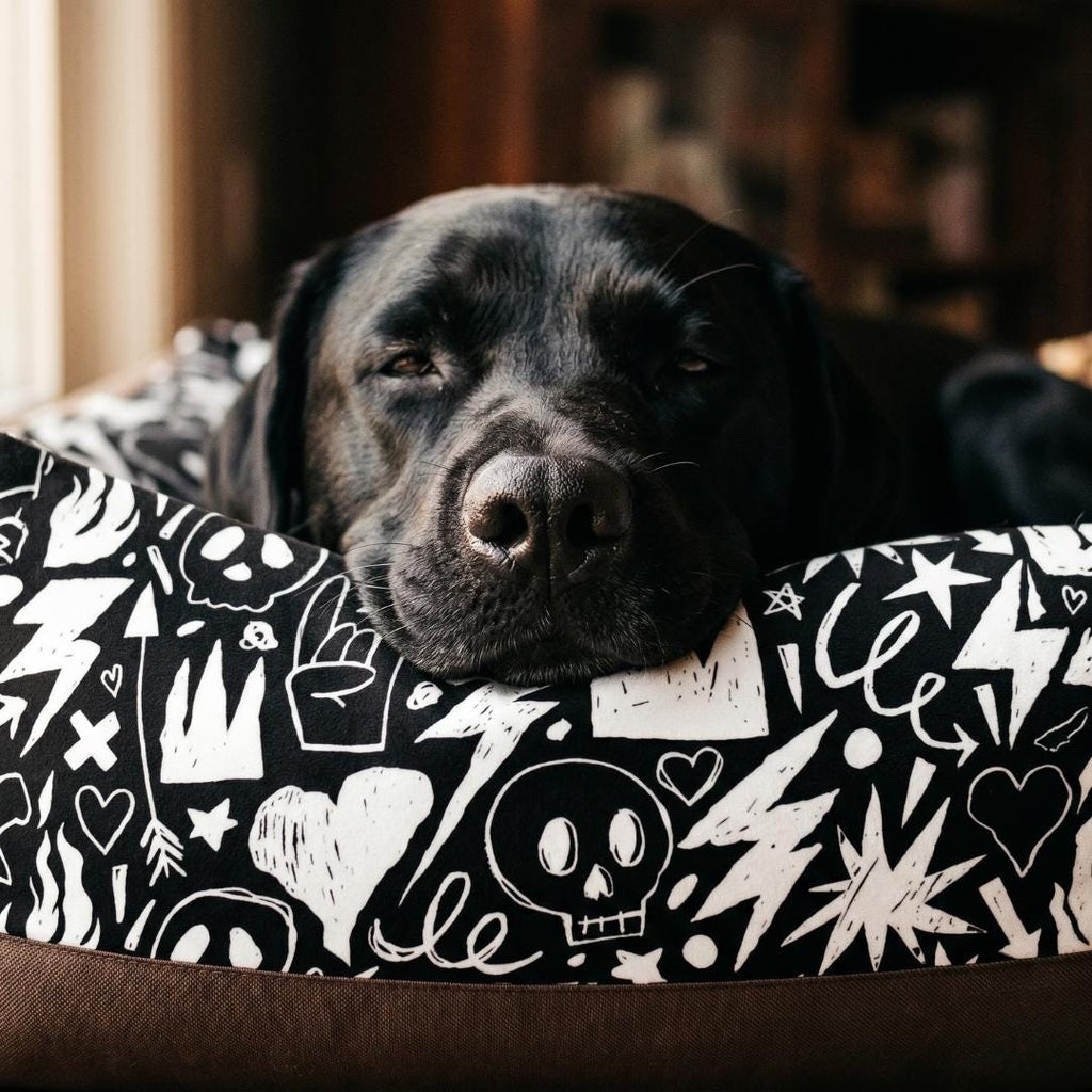 Skull Crown Graffiti Pet Bed | Black White Punk Pattern