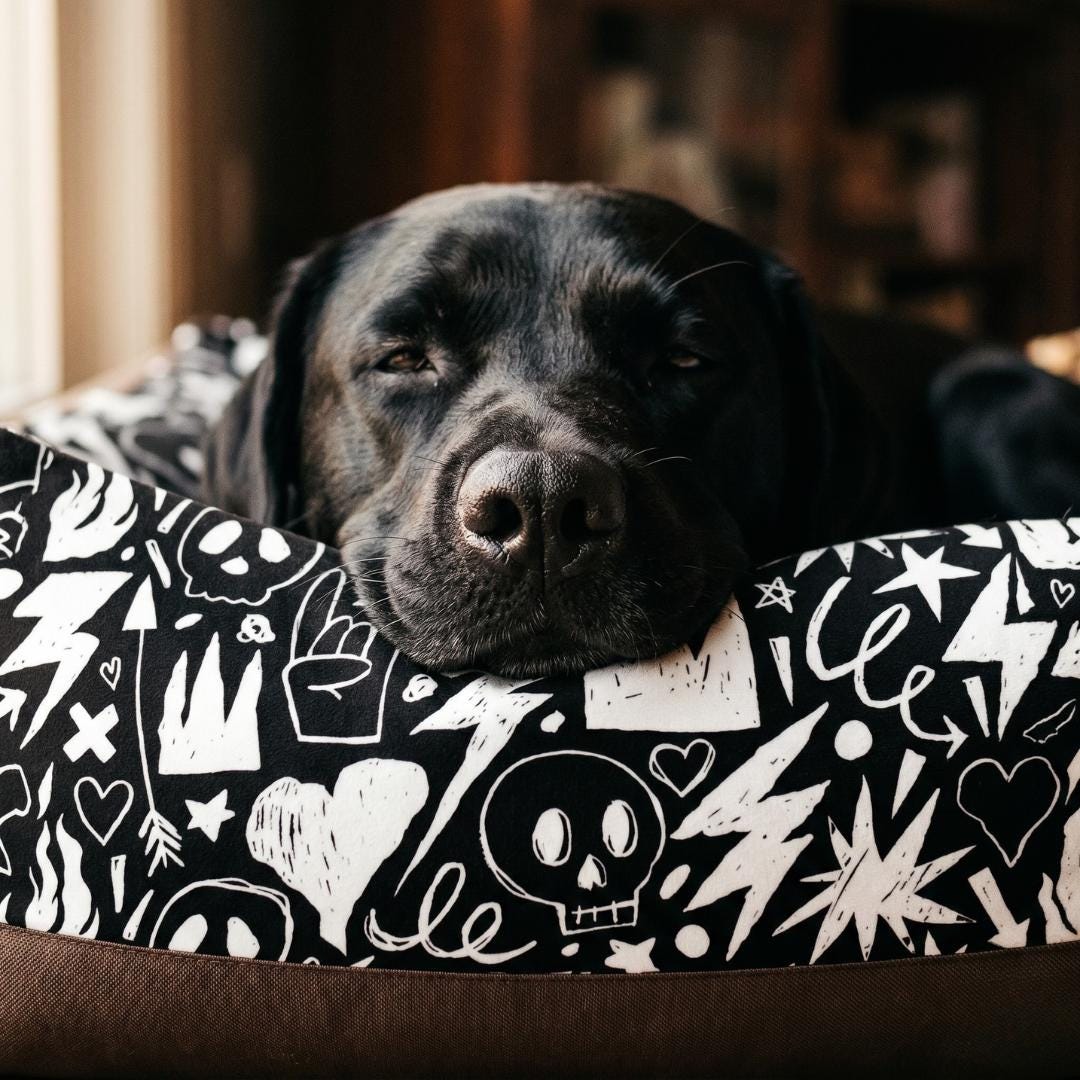 Skull Crown Graffiti Pet Bed | Black White Punk Pattern