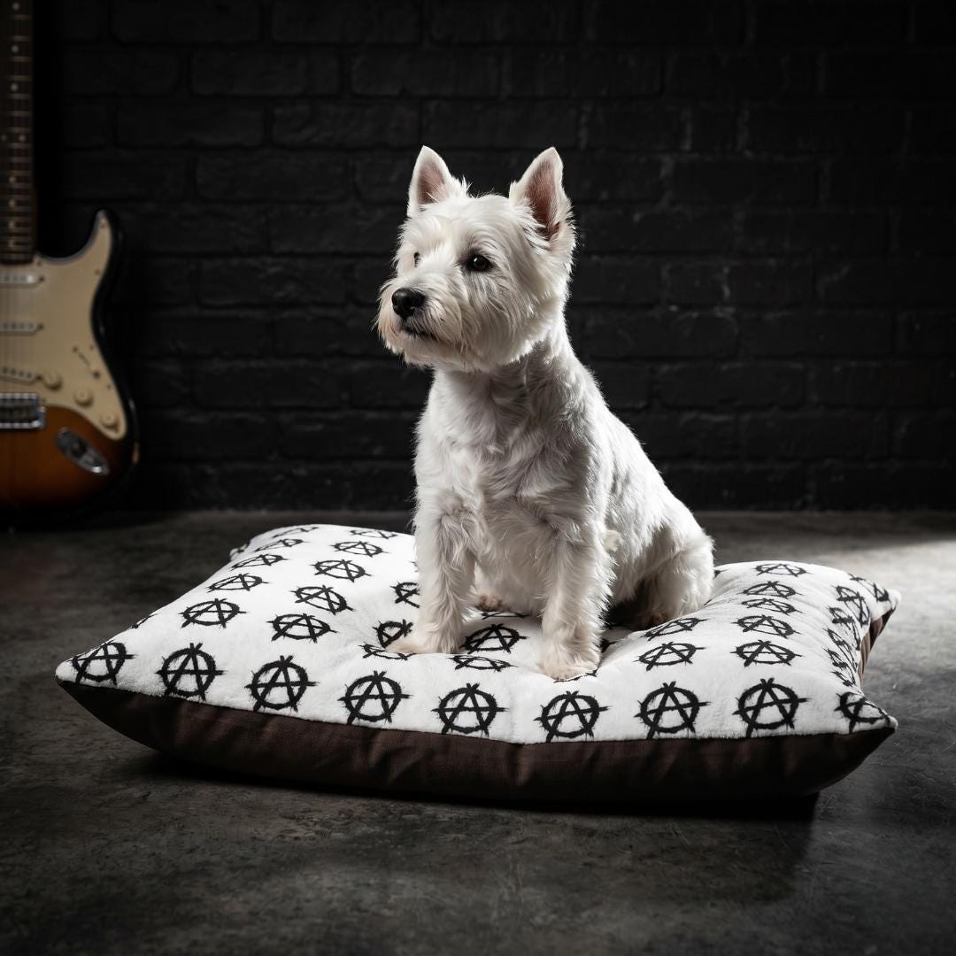 Anarchy Symbol Pet Bed | Black Graffiti Pattern, Rectangular Plush Cushion