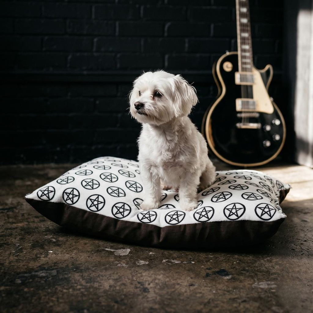 Black Pentagram Pattern Pet Bed |  Print Dog Cat Bed