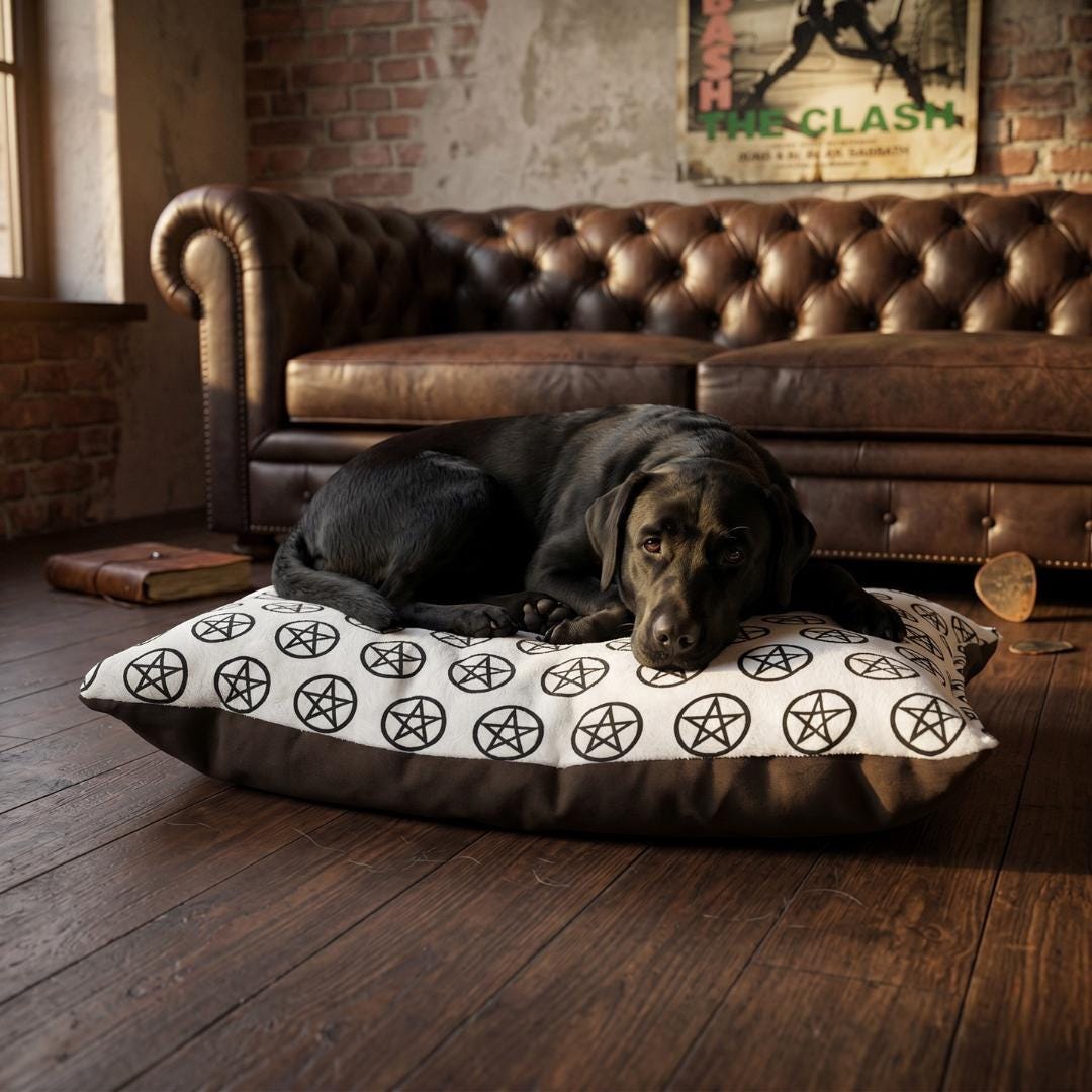 Black Pentagram Pattern Pet Bed |  Print Dog Cat Bed