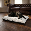 V Guitar Dog Bed