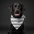 Black Guitar Pattern Pet Bandana | Musical Instrument Dog Bandana
