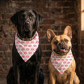 Vamp Lip Print Pet Bandana | Monochrome Repeat Pattern