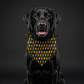 Black Lightning Bolt Dog Bandana – Yellow Electric Pet Scarf