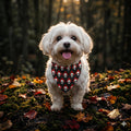 Skull Flames Pet Bandana | Halloween Dog Cat Accessory, Polyester Print