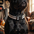 Black Lightning Bolt Clip-on Pet Collar | Adjustable Nylon Collar