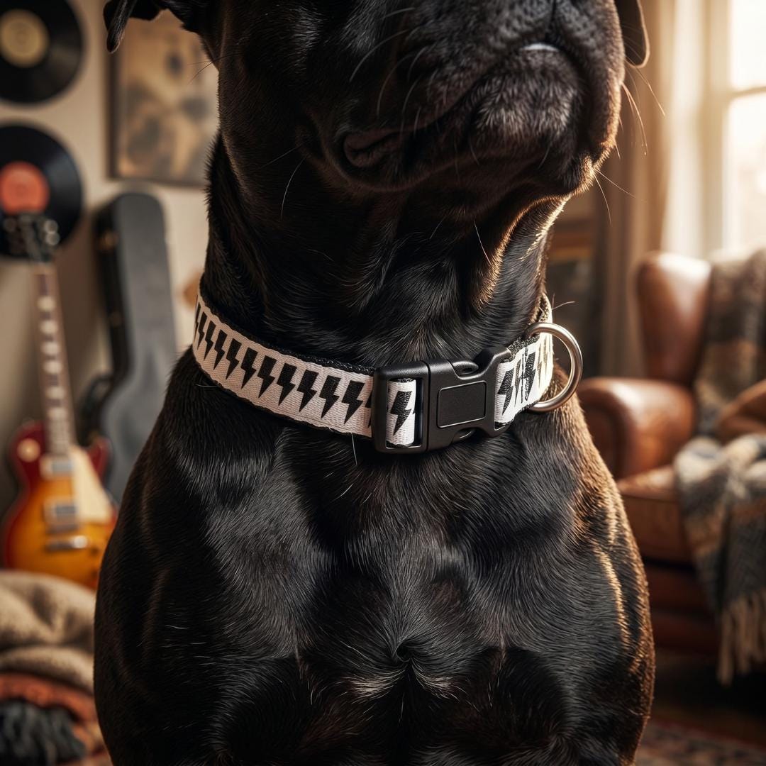 Black Lightning Bolt Clip-on Pet Collar | Adjustable Nylon Collar