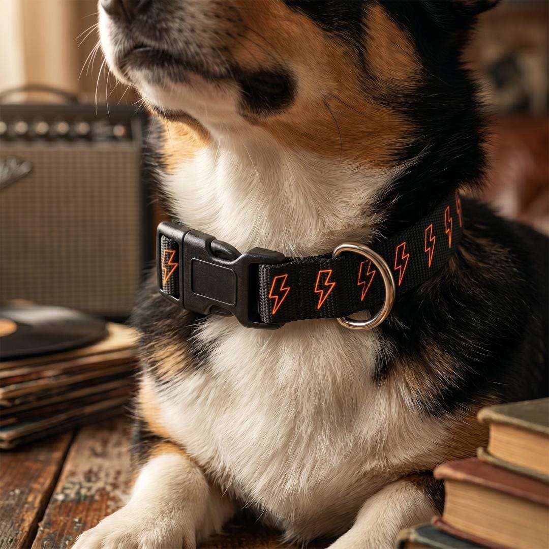Neon Lightning Bolt Pattern Clip-on Pet Collar | Adjustable Dog Cat Collar