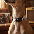 Rock Horns Clip-On Dog Collar | Punk Heavy Metal Accessory