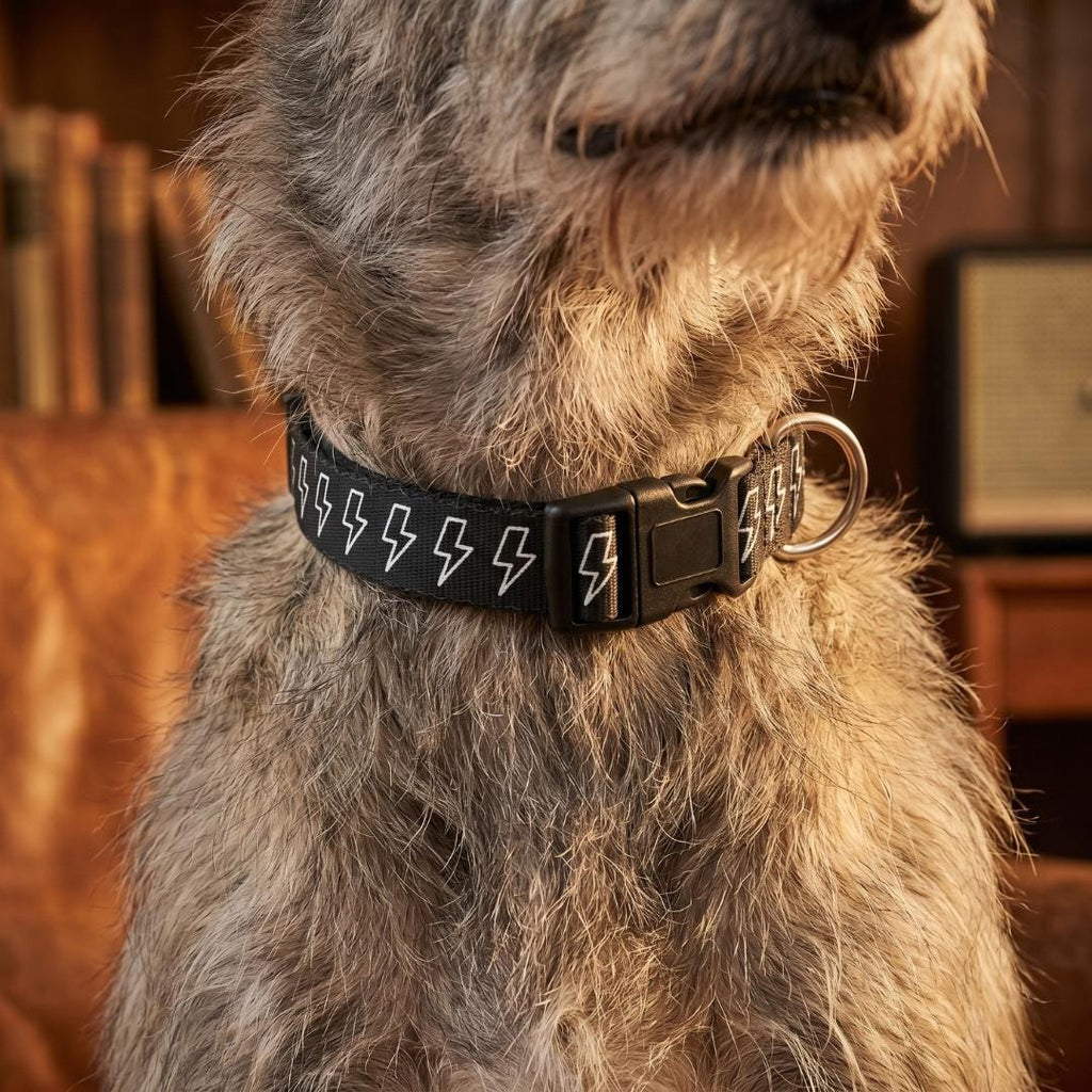 White Lightning Bolt Pattern Clip-on Pet Collar | Black Adjustable Dog Cat Collar