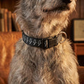 White Lightning Bolt Pattern Clip-on Pet Collar | Black Adjustable Dog Cat Collar