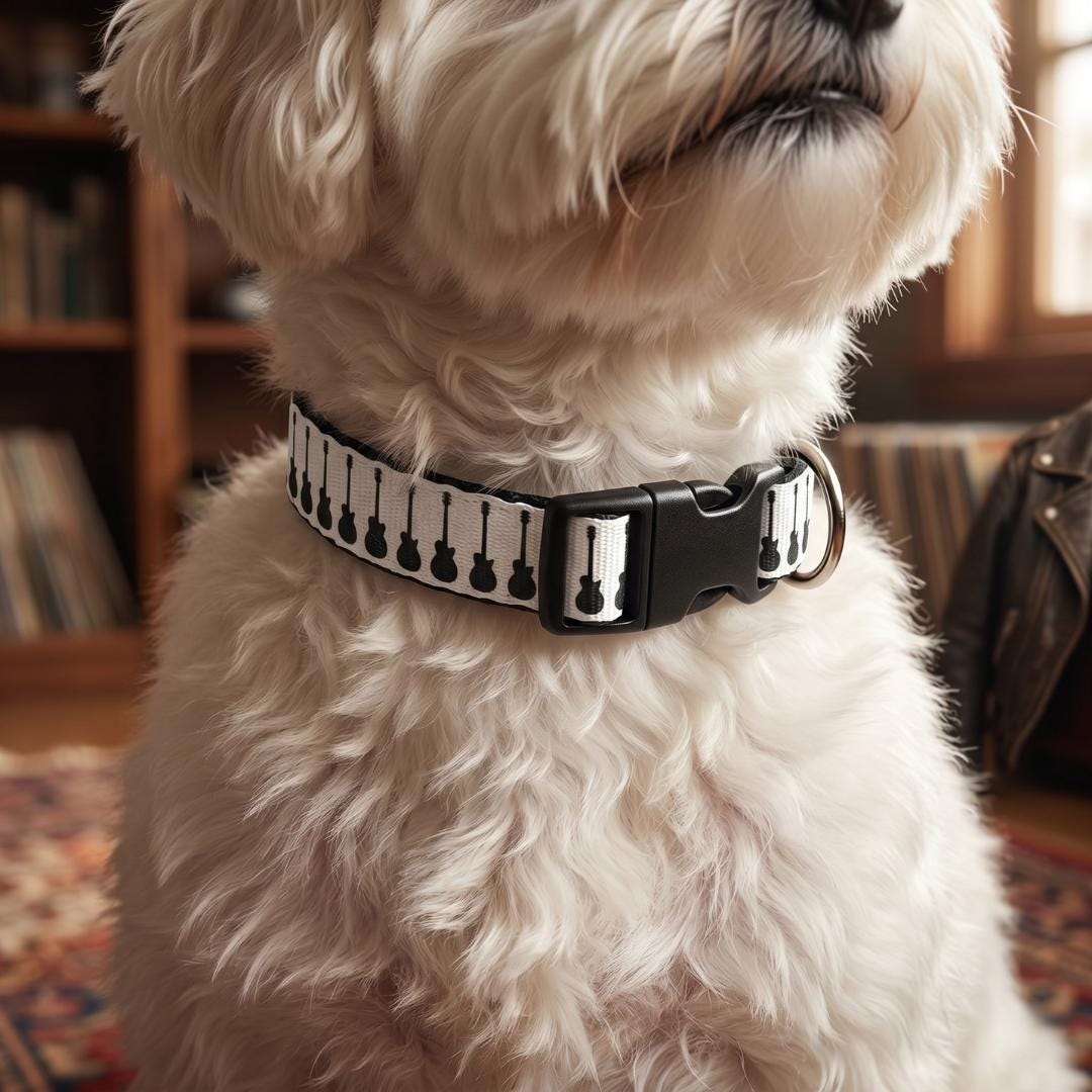 Guitar Pattern Clip-on Pet Collar | Music Themed Dog Collar